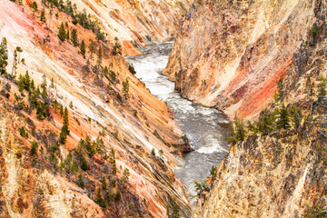 Canyon coloré du Yellowstone