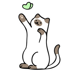 A cat in an outline style character design and a flat design style minimal vector illustration.