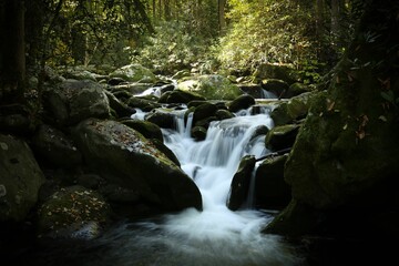 Obraz premium Landscape of a beautiful waterfall surrounded by rocks in a forest