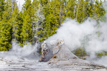 Fumée dans le parc de Yellowstone