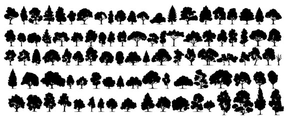 various deciduous trees silhouettes on the white background © Dian