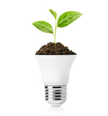 a sprout grows from a led light bulb on a white isolated background, ecological concept
