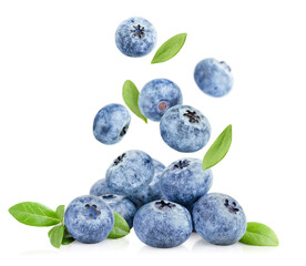 falling in a bunch of blueberry berries and leaves on a white isolated background