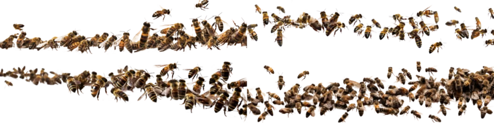 Fotobehang Generative AI image of many black and yellow bees crawling together isolated on white background © exclusive-design