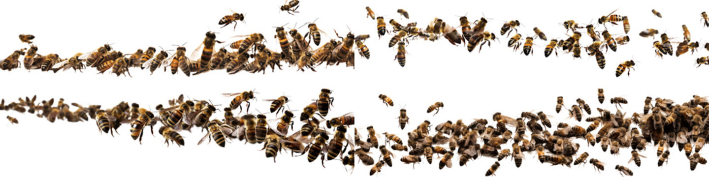 Generative AI image of many black and yellow bees crawling together isolated on white background