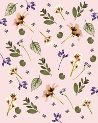 Pressed and dried flowers, leaves isolated on pink background. Floral patterns, composition, backgrounds for designs, prints.