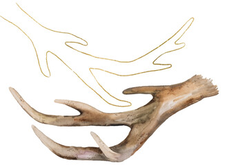 Brown Watercolor and golden outlines deer antlers, Boho Wedding illustration