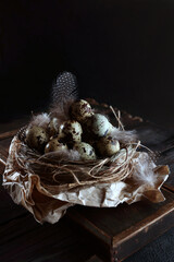 Quail eggs in the nest. Fresh quail eggs. A natural product. Dark background. Easter composition. Easter background.Vertical photo.