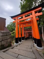 Torii gates