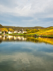 Fototapeta premium Briedern village on Moselle riverbank and colorful vineyards during autumn in Cochem-Zell district, Germany