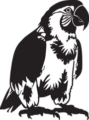 Parrot  Vector illustration, on a isolated background, SVG	