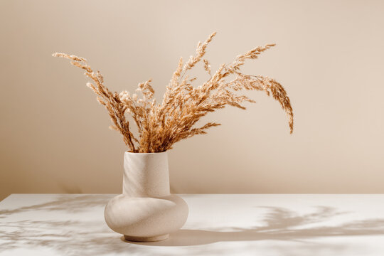 Stylish Ceramic Vase On The Table With Pampas Or Reed Dry Grass Bouquet With Warm Shadows, Light Brown Wall Background. Scandinavian Vase On The Table With Copy Space, Minimal Aesthetic Style