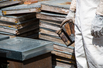 Beekeeper working with bees, collecting honey in the boxes you can also see the smoker, the bee suits and different beekeeping tools as well as the hives