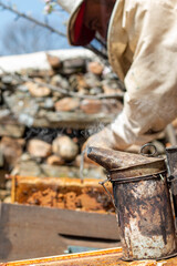 Beekeeper working with bees, collecting honey in the boxes you can also see the smoker, the bee suits and different beekeeping tools as well as the hives