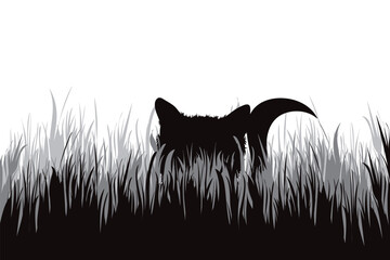 Vector silhouette of cat hiding in the grass.