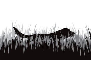 Vector silhouette of dog walking in the grass.