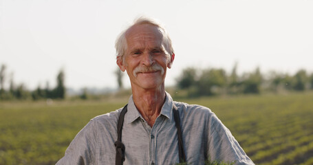 Senior caucasian farmer holding a box of colorful vegetables. Mature agriculture worker looking at...
