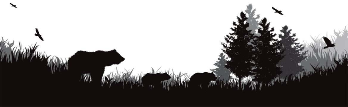 Vector silhouette of family bear in a forest.
