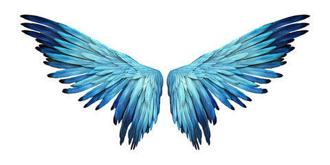 Blue wings isolated on transparent background - Generative AI