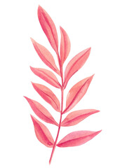 Colored Palm leaf on isolated background, pink tropical flora element. Hand drawn watercolor image