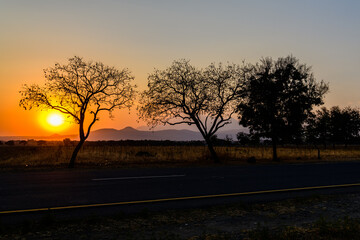 Fototapeta na wymiar Landscape at the Arusha national park at sunset, Tanzania