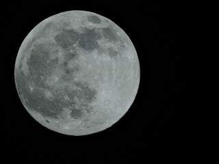 full moon in the night