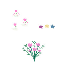 pink and white flowers