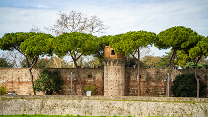 Fototapeta na wymiar drzewa budynki uliczki piza zabytki spacer bolonia włochy rzym