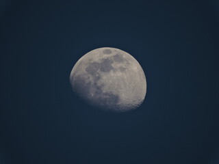 moon in the night
