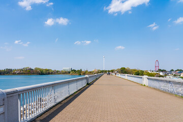 村山貯水池下堰堤の遊歩道（多摩湖）