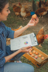 An Asian Female farmer is checking the quality of an egg. Concept of organic hen or chicken quality...