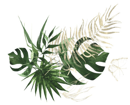 Watercolor exotic greenery bouquet arrangement. Green golden palm branches, banana leaves and mouse peas twigs. Cut out hand drawn PNG illustration on transparent background. Isolated clipart.