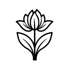 Flower vector illustration isolated on transparent background