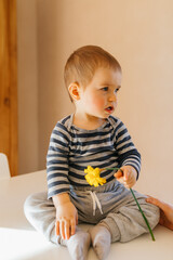 Fototapeta premium Lovely cute little boy in striped shirt and grey pants is sitting on table with flower in the hand and looking aide with happy smile in sunny spring day. 