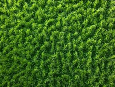 Gr&uuml;ne Textur-Faszination: Realistisches Gras-Rendering, lebendige gr&uuml;ne Hintergrundtextur, Naturinspiration, Fr&uuml;hlings- & Sommer-Design 37