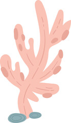 Obraz premium Sea Coral Plant