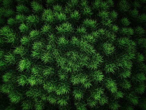 Gr&uuml;ne Textur-Faszination: Realistisches Gras-Rendering, lebendige gr&uuml;ne Hintergrundtextur, Naturinspiration, Fr&uuml;hlings- & Sommer-Design 11