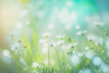 Beauty summer meadow with blooming flowers, blurred seasonal abstract backgrounds with bokeh effect.  Summer flower background. Generative ai