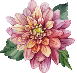 Watercolor floral arrangements with beautiful flowers, Watercolor vintage floral bouquet

