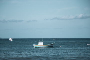 Fototapeta premium Bote