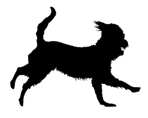 Dog running isolated graphic