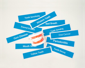The Dentures model with dental disease on white background.