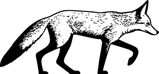 Illustration of fox in black and white style.