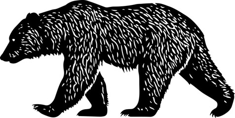 Illustration of walking bear in black and white style.
