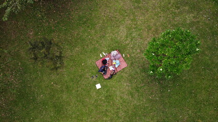 Aerial view of family picnic