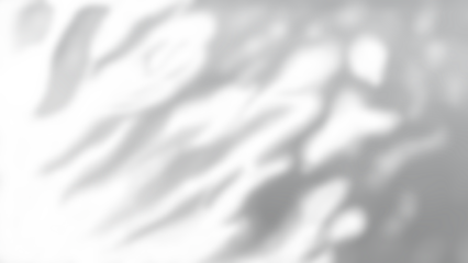 Shadow leaves background 