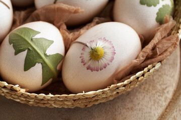 Preparation for dyeing Easter eggs with onion peels, with a pattern of fresh herbs