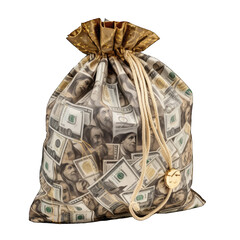 bag of money