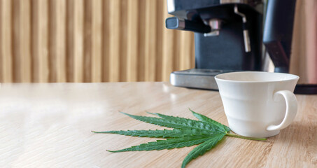 Health hemp tea leaf plant THC CBD herbs food