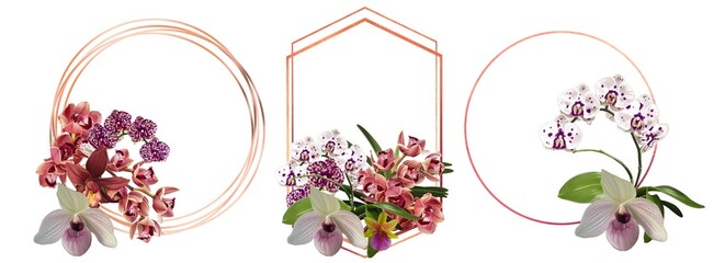 Watercolor set of frames made of orchids. frame of cymbidium, phalaenopsis and Paphiopedilum - obrazy, fototapety, plakaty